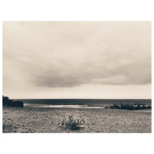 Eliška Křenková Instagram - Keřík #bythesea