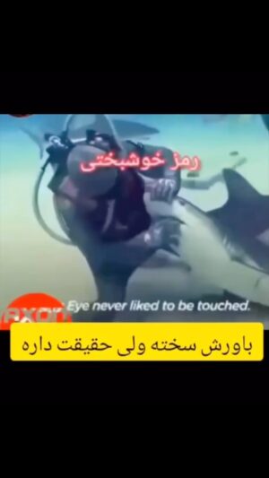Elizabeth Amini Instagram - قدر دانی !، جزو اوندسته نباشیم که که محبت و لطف دیگران برامون عادی بشه ، انقدر عادی ، که تبدیل شه به عادت وبعداز یه مدت تبدیل به توقع و طلبکاری! محبت را هر بار بیشتر از بار قبل باید قدر دان و شکر گذار بود تا رشد کنه و تبدیل به عشق دادن به یکدیگر بشه نه فقط محبت ساده ، هیچ چیز زشت تر و غیر انسانی تر از ناسپاسی و عادی نماییه محبت و عشق نیست!!!!
#محبت_بهترین_هدیه_است 
#انسانیت_راترویج_دهیم 
#شعوروقدردانی_راتمرین_کنیم
.
#ایران_خانم_دوام_بیار #ایرانی_آگاه_شو 
#ایرانم_بهارت_شادوپرخیروبرکت
.
#خامنه_ای_به_پایان_سلام_کن 
#مرگ_بردیکتاتورفقیه
#شیاطین_جمهوری_اسلامی_نابودبایدگردند
 #اعتراضات_مدنی_حق_مسلم_ماست 
#ایرانمان_را_پس_میگیریم 
.#ایران_تنهایک_مسلمان_داردواوفاطمه_سپهری_است 
#هم_غزه_هم_لبنان_هردو_فدای_ایران 
#ننگ_برقشرخاکستری 
#نه_به_جمهوری_اسلامی👎 
#ننگ_برقشرخاموش_ایران
#لعنت_بر_جمهوری_فاشیستی_اسلامی_و_طرفداران_مزدورش 
#شرم_برقشرخاکستری 
#مرگ_برشورشیان_۵۷ #مرگ_بر_خامنه_ای 
#مرگ_برجمهوری_اشغالگرتروریستی_ننگین_اسلامی 
#زن_زندگی_آزادی 
#الیزابت_امینی 
‏#woman_life_freedom 
‏#mahsaamini 
‏#we_hate_islamic_regime 
‏#down_with_khamenei 
‏#elizabethamini
‏#iranianrevolution