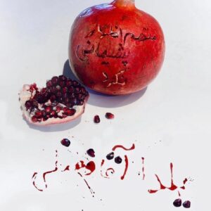 Elizabeth Amini Instagram - یادت باشه یلدا اگر برای تو بلندترین شبِ سالست و سرخوش و مست در حال جشن گرفتنی ، برای دوستان و خانوادهٔ #یلداآقافضلی  ها شبِ بی پایان و ناتمامست سرشار از سیاهیها و تاریکیها که عزیزانشان به امید روشنائیِ فردا جان عزیز دادند و تو امروز فراموششان کرده و سفرهٔ یلدا میچینی و تخمه میشکنی ! وای برتو  وای بر ما وای برتو حامیِ رژیم کودک کش وای برتو بیشرفِ بیغیرتِ فراموشکار!
.
😡😡😡😡😡
#بیزارم_ازدین_شمانفرین_به_آیین_شما 
#اسلام_مساوی_با_دروغ_و_جنایت 
#نوجوان_شهیدراه_وطن #کیان_پیرفلک 
#ابوالفضل_آدینه_زاده 
#انقلاب_مهسا_ادامه_دارد✌️✌️✌️
#ننگ_برقشرخاکستری 
#نه_به_جمهوری_اسلامی👎 
#مرگ_باعزت_بهتر_از_زندگی_باذلت_است 
#تاابدجاوید_خاندان_ایرانسازپهلوی 
#ننگ_برقشرخاموش_ایران
#توماج_صالحی_راآزادمیکنیم 
#فقروفسادواعتیادسوغات_جمهوری_اسلامی
#لعنت_بر_جمهوری_فاشیستی_اسلامی_و_طرفداران_مزدورش 
#شرم_برقشرخاکستری 
#مرگ_برشورشیان_۵۷ 
#مرگ_برجمهوری_اشغالگرتروریستی_ننگین_اسلامی 
#مرگ_بر_اصل_ولايت_فقيه 
#زن_زندگی_آزادی 
#انقلاب_مهسا
#الیزابت_امینی 
‏#woman_life_freedom 
‏#mahsaamini 
‏#we_hate_islamic_regime 
‏#down_with_khamenei 
‏#elizabethamini
‏#iranianrevolution