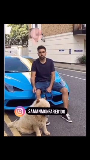 Elizabeth Amini Instagram - برید رای بدید ، ثواب داره واسه این بچه یتیمای نکبت زاده یه لقمه نونه دیگه ، بعد از رای بشینید از تلوزیون یا منبر خزعبلاتی رو ببینید و بشنوید که واسه شما خیلی حرومه و واسه این نکبت زاده ها خیلی حلال ! #بیلیاقتی_حدی_داره 
#رای_دادن_خروخوردن_یابو !
.
#فقط_جیره_خوران_رای_میدهند
#هرزه_های_ولایی_رابشناسید
#احمدی_نژادمهرهٔ_فاسدِخامنه_ای
.#گول_مناطرات_ساختگی_رانخورید 
🔥🔥🔥🔥🔥

#یازدهم_اسفنددرخانه_میمانم_من_رای_نمیدهم
#ایرانی_به_حکومت_ضدایرانی_رای_نمیدهد 
#رای_بی_رای_برای_آزادی_ایران_عزیز 
#ایران_تنهایک_مسلمان_داردواوفاطمه_سپهری_است 
#جمهوری_تبهکار_اسلامی_دشمن_ایران_وایرانی 
#اسلام_مساوی_با_دروغ_و_جنایت 
#چشمتون_کورکه_بوقت_قیام_خاکستری_وخاموش_ماندید!!!
#ننگ_برقشرخاکستری 
#نه_به_جمهوری_اسلامی👎 
#جمهوری_فاسداسلامی_نابودبایدگردد
#ننگ_برقشرخاموش_ایران
#فقروفسادواعتیادسوغات_جمهوری_اسلامی
#لعنت_بر_جمهوری_فاشیستی_اسلامی_و_طرفداران_مزدورش 
#مرگ_برشورشیان_۵۷ 
#مرگ_بر_اصل_ولايت_فقيه 
#زن_زندگی_آزادی 
#الیزابت_امینی
‏#elizabethamini_iranianactress 
‏#woman_life_freedom 
‏#mahsaamini 
‏#we_hate_islamic_regime 
‏#down_with_khamenei
#irgcterrorists