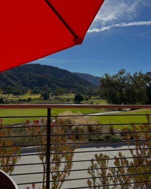 Elizabeth Craft Instagram - Ojai hike and working lunch with @sfain — can’t beat the view!