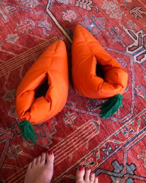 Elizabeth Craft Instagram - Merry Christmas! Hope your day brings as much joy to you as my new Corgi hat and old carrot slippers bring to me! #happierinhollywood