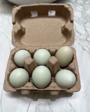 Elizabeth Craft Instagram - When you visit your writing partner in Ojai you come home with this! Thanks @sfain (and chickens)! #happierinhollywood