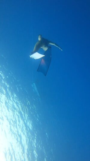 Elizabeth Frances Instagram - Adventures on Ths Big Island givin me aaaaall the feels. #aloha #freediving #kona 

Sleeping pods of dolphins, mantas, whale sharks, 40M dives, waterfalls, cliff jumps and some of the most breathtaking sunrises and sunsets. This place is magic, it’s healing.