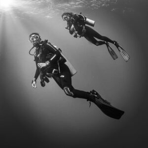 Elizabeth Frances Instagram - Diving is even better when you get to go with fellow @girlsthatscuba AND a FEMALE OWNED dive company! Epic waters in Cabo diving #gordobanks with @cabo_privateguide   @divegordobanks ✨🤙🏾🧜🏽‍♀️ More pics comin! 

📷: @jenxwanders 
Support female owned dive co ➡️ @cabo_privateguide   @divegordobanks 

#mermaids #womensupportingwomen #bigblueandyou #scuba #cressi #suunto #padi #gordobanks #cabo #divedeep #wanderlust #adventure