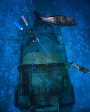 Elizabeth Frances Instagram - Keep exploring, with curiosity, and without expectation. Find yourself in the unknown. 🧜‍♀️

#freediving #cozumel #ocean #mermaid #girlswhofreedive #explore #travel #underwater