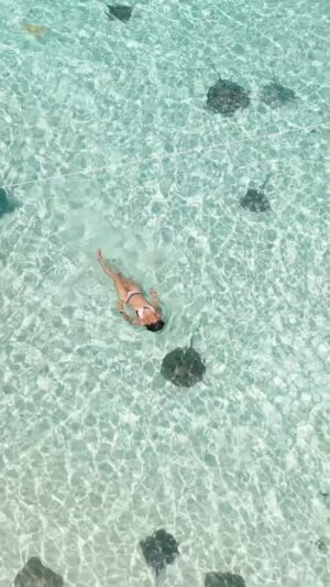 Elizabeth Frances Instagram - Be fluid and let water set your soul free 🧜‍♀️

#freediving #shipwreck #saponawreck #bahamas #bimini #stingrays #ocean #mermaid #cincodemayo #dji #drone #mixedbabies