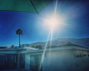 Elizabeth Maxwell Instagram - “It matters not if I am wealthy, for I am rich in friendship.”

Palm Springs Birthday, The Horizontals