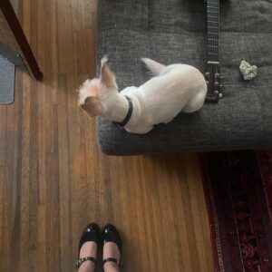 Ella Jay Basco Instagram - wee little guitar, wee little tiger, wee little song