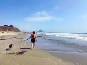 Elyse Levesque Instagram - Nuclear Family Goes To The Beach... 🏖 #Earl #AndHisMoms #AdventuresInDogSitting #FingerInFrame