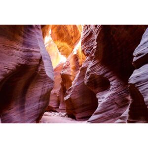 Elyse Levesque Instagram - The Land Before Time. 🦕 #DontBeFooledByTheRocksThatIGot #BuckskinGluch #Utah #SlotCanyon