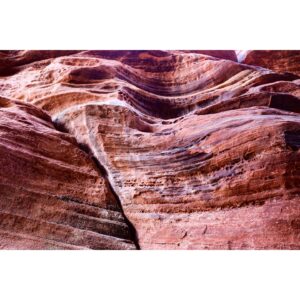 Elyse Levesque Instagram - The Land Before Time. 🦕 #DontBeFooledByTheRocksThatIGot #BuckskinGluch #Utah #SlotCanyon