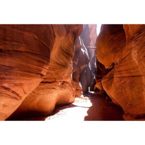 Elyse Levesque Instagram - The Land Before Time. 🦕 #DontBeFooledByTheRocksThatIGot #BuckskinGluch #Utah #SlotCanyon