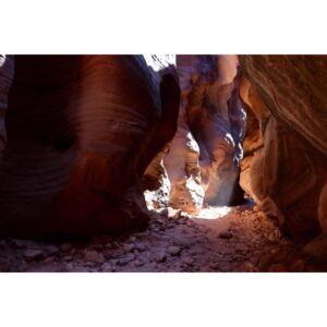 Elyse Levesque Instagram - The Land Before Time. 🦕 #DontBeFooledByTheRocksThatIGot #BuckskinGluch #Utah #SlotCanyon