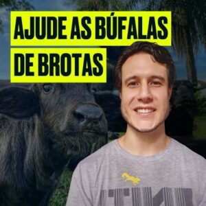 Emiliano D'Ávila Instagram - Comente "búfalas" para receber o link de inscrição!🐃 #AjudeAsBúfalasDeBrotas

A Geração Vegana vai doar 1 dólar para os santuários @ahimsa.santuariovaledarainha e @ranchodosgnomos por cada inscrição em um de seus programas gratuitos sobre veganismo. Incrível, né?  #AjudeAsBúfalasDeBrotas⚡

Ao se inscrever, você vai receber newsletters diárias, pelo tempo que escolheu, recheadas de conteúdo sobre veganismo, com muita informação, receitas, dicas e muito mais! E o melhor: é de graça! 

Você pode escolher o programa que preferir. Se você deseja experimentar o veganismo pelos animais, pelo planeta, pela humanidade, pela sua saúde ou até mesmo por motivos espirituais, eles têm um programa para você. 🌱💚

⚡ 🐃 Comente "búfalas" e receba o link para se inscrever gratuitamente.

#ParaTodesVerem: Emiliano é um homem branco de cabelos escuros e barba, veste uma camiseta cinza. O vídeo também mostra imagens das búfalas de Brotas.

#Veganismo #Búfalas #AmoAnimais #AmorAosAnimais #BúfalasDeBrotas