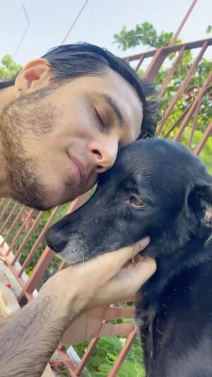 Emiliano D'Ávila Instagram - A família aqui é grande. Adivinha quanto somos!
🏠🐾♥️

#família #lar #casa #casadosbichos #pai #paidebicho #filhos #filhospet #netos #netospet #adote #nãocompreadote #nãocompreanimais