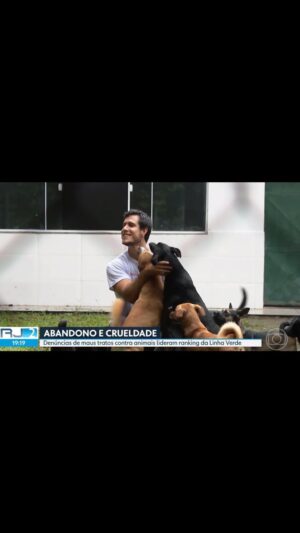 Emiliano D'Ávila Instagram - Reportagem do RJTV com @osindefesos sobre abandono e maus tratos:
“Denúncias de maus-tratos contra animais correspondem a 60% dos relatos recebidos pela Linha Verde, o telefone do Disque-denúncia do RJ para crimes ambientais”

Link da matéria completa nos stories.

#nãocompreadote #adoteumfocinho #adotarétudodebom #resgate #animais #maustratos #maustratosanimal #abandonoanimal #riodejaneiro #prefeiturariodejaneiro #justiça #crimederesponsabilidade #improbidadeadministrativa #direitoanimal #defesadosanimais #direitosanimais