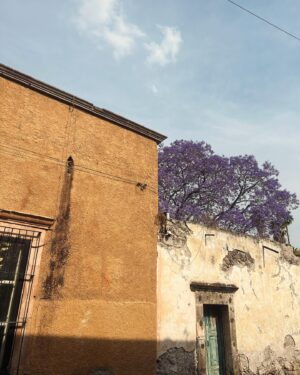 Emiliano Zurita Instagram - Jacarandas, perros, bodas, atardeceres y hombros dislocados 🌅🖤🎆
.
.
Gracias @numusanmiguel por el mejor portero (aunque solo te deje entrar con resqueteo de panza)