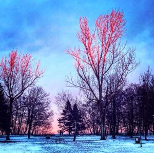 Emily Andras Instagram - Travel light, find the light, spread light.