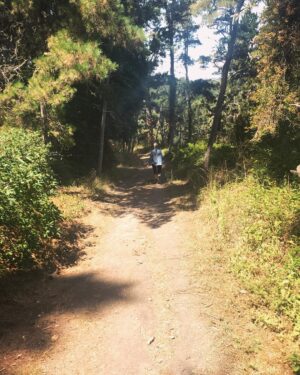 Emily Berrington Instagram - Mountain lion country ⛰ 🦁