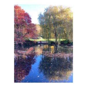 Emily Berrington Instagram - 🍁