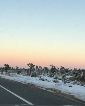 Emily Kokal Instagram - slice a life 
another teal hood-🐀 photo - while passing through snow in the desert - and a power amulet that was too 💸 ..
Between these moments I experienced some super stoke, heartache, inspiration, aloneless (not to be mistaken with loneliness☝️), doubts, joy, melancholy, lunch, peace, and a low level anxiety that seems to just be apart of me!
Another day another #HOLLA 🗣🏌🏻‍♀️🤹🏻‍♀️
Hope you’re enjoying the ride in all it’s everchanging weird and wildness!✌🏽