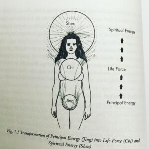 Emily Kokal Instagram - may you conserve and draw your principle energy up and throughout your whole body in #2019 🖖🏽