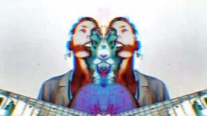 Emily Kokal Instagram - I Want Your Love - Chic 
The last cover is up on Vero and with that #fourfridays is complete. 
Thanks to those who gave song ideas and went over to Vero and checked them out. 
It was a fun experiment, and a nice meditation for me. *longer clip tonight for all you lazy slackers 💋 
Can you spot Frida?