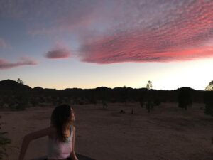 Emily Kokal Instagram - Skying \\ Any song you’d like to hear me cover?