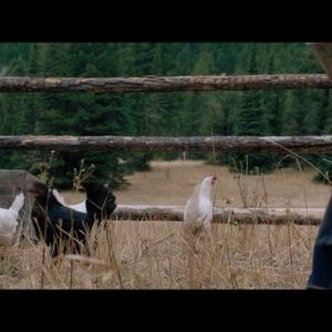 Emily Marie Palmer Instagram - One of the many joys of playing Megan in The Last Son was that I was able to draw on my deep love of old folk melodies and weave them into the world of this quiet, isolated, mysterious young woman that I loved so much. ♥️

Sharing a few of those little moments and calling it #FolkSongFriday - swipe to listen 🙃