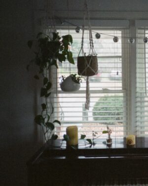 Emily Marie Palmer Instagram - Joey got some film developed and it feels like a little secret doorway back into some very dear memories from this year. The most beautiful Tennessee snow day, perching awe-struck beside the Grand Canyon, my grandma’s cute cross-stitch, reveling in the perfect mid-Summer breeze in Rocky Mountain National Park, the bittersweet final days in the very first house that we made into a home together, and the pure ecstatic joy of sledding at White Sands. 

And this first one here, this one in the checkered sweater — Joey snapped it a couple weeks ago to finish out the roll of film, and said it turned out to be his favorite one of all of them. ☺️

What a beautiful life. This year was not at all what I thought it would be when I first ventured into it on January 1st, and I would be lying if I told you that I have not had to grieve that a little — that year that I thought I would have — but it has been full of such love and so much goodness, and I am deeply grateful. 💕