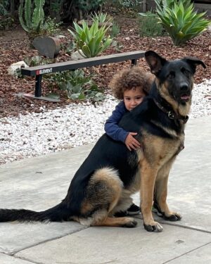 Emily Rios Instagram - My sweet Samson. You were the best boy. Thank you for showering us with all of your love. We’re going to miss you but I’m glad you’re no longer suffering. I know you’re getting all your favorite treats… as you should be. I’ll love you forever, my handsome boy.
