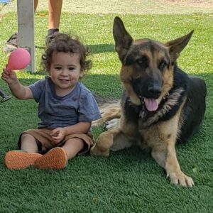 Emily Rios Instagram - Oso, you were with us for a short year and a half but gave us love and memories for a lifetime. You were the sweetest, most gentle, and caring dog we’ve had the pleasure of having. You helped save me and I’m sorry I couldn’t save you. We loved the fuck out of you and I know you loved the shit out of all of us. I know you’re no longer suffering and finally at peace. You’ll have all the balls in the world to play with wherever you go. Love you, Oso precioso.