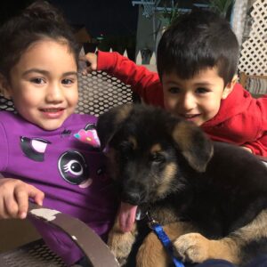 Emily Rios Instagram - Oso, you were with us for a short year and a half but gave us love and memories for a lifetime. You were the sweetest, most gentle, and caring dog we’ve had the pleasure of having. You helped save me and I’m sorry I couldn’t save you. We loved the fuck out of you and I know you loved the shit out of all of us. I know you’re no longer suffering and finally at peace. You’ll have all the balls in the world to play with wherever you go. Love you, Oso precioso.