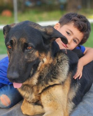 Emily Rios Instagram - My sweet Samson. You were the best boy. Thank you for showering us with all of your love. We’re going to miss you but I’m glad you’re no longer suffering. I know you’re getting all your favorite treats… as you should be. I’ll love you forever, my handsome boy.