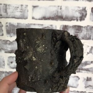 Emily Serpico Instagram - 💀Haunted Forest mugs! First round of dark thorny bark mugs! 💀 They have a mirror black inside! Dm me if interested!  #ceramic #pottery #bark #forest #pnwonderland #glaze #haunted