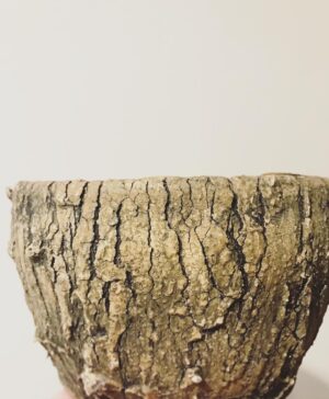 Emily Serpico Instagram - Sorry for all the posts! I'm just really excited! 🌲 #ceramics #pottery #bark #pnw #naturelover