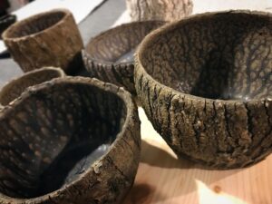 Emily Serpico Instagram - First test glaze combinations 🌲 #barkpottery #pottery #ceramics #pnwonderland #barkbowl #bowl