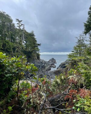 Emily Tennant Instagram - Ucluelet —> Tofino