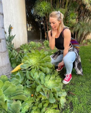 Emily Whitmire Instagram - When you see the big ones 🤭 #succulents #california #garden #nature #plants #cactus #cacti #longbeach
