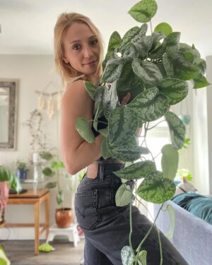 Emily Whitmire Instagram - One plant I can’t believe is real. This was a special gift from the amazing @botanicalbloomss 🤍 #scindapsuspictusexotica #houseplants #plants #plantmom #plantsofinstagram #scindapsus #plantcommunity #lasvegas #plantsonly