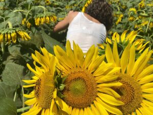 Emma Kathleen Hepburn Ferrer Instagram - 🌻