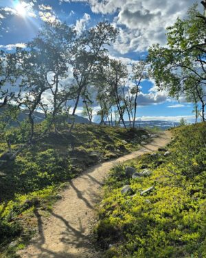 Emma Kimiläinen Instagram - A week in Lapland with Tyson, some friends and family. Met some amazing new people too. 

Food for my soul 🌱🫶

#rescuedog #adoptdontshop #rescueanimals #lapland #visitlapland #visitfinland #kilpisjärvi #levi #finland #ourfinland #hiking #outdoor