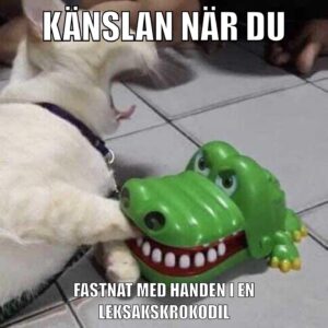 Emma Knyckare Instagram - Meme! Varsågoda!