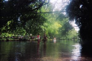 Emma Pasarow Instagram - 2022 disposables