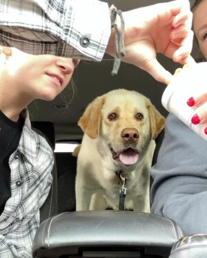 Emma Rayne Lyle Instagram - these past few days have been some of the worst days of my life. whitey, my honey bunches of oats baby, i love you as if you were my child. and you acted like you were. my big lap dog, had no idea what personal space was and i didn’t mind a bit. you wanted to be as close to the ones you loved as you possibly could be. didn’t have a bad bone in your body, wouldn’t hurt a fly. you were all bark when it came to men though ! always protected us. sweetest, most perfect dog i’ll ever know. you were always there giving me kisses and cuddles when i was struggling, never failed to make me feel better. you always wanted your paw held and i held it all the way to the end. i miss seeing your chunky face already and you smothering me with all 110 lbs of your cute self. what happened to you was so unexpected and i’m so sorry if you were in pain. you were such a lover and just wanted your family to be happy, i’m not sure you would have showed us you were hurting even if you were. my heart is shattered without you in this world with me anymore. i would give so much to have one more full day giving you love and doing whatever you wanted. i keep on hoping this is just a nightmare and i’m going to wake up soon and see your big smile and whole body wiggling in happiness. i’m glad i was lucky enough to have a dog like you for 6 and a half beautiful years and was with you until your last breath to say goodbye. you are family, apart of the OG5 and always will be. best big brother to boodie, he’s missing you so much already. no dog could ever replace you bub, i promise. i know you’re happy and healthy now, inhaling pup cups and running around with a bone in your mouth, proudly showing it off to everyone. i’ll see you again soon bubba. i love you endlessly. you’re such a good boy.