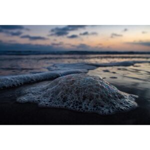 Emmanuel Lubezki Instagram - 