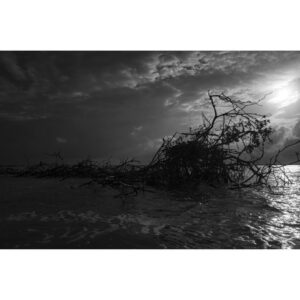 Emmanuel Lubezki Instagram - 