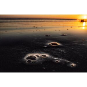 Emmanuel Lubezki Instagram - Multiverse. 
Or?