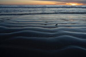 Emmanuel Lubezki Instagram - Wave and wave.